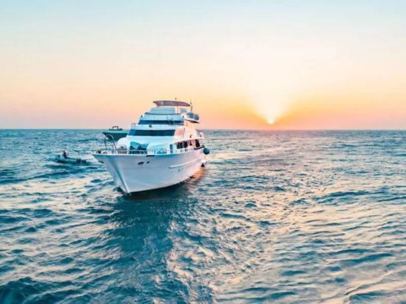 Découvrez les trésors cachés de la mer Rouge lors d'une aventure en croisière plongée