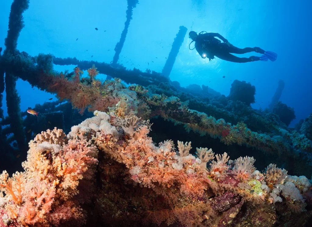 Diving Safar Egypt Liveaboard Wrecks