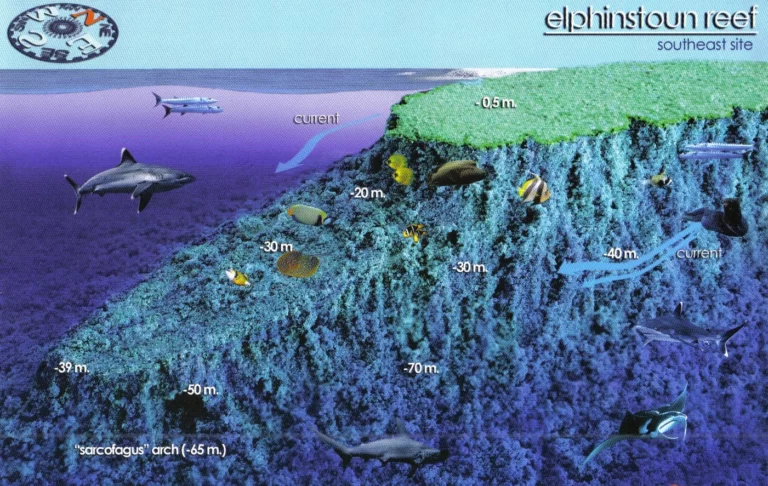 Elphinstoun Reef (south-east)