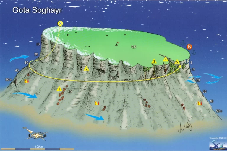 Gota Soraya Reef