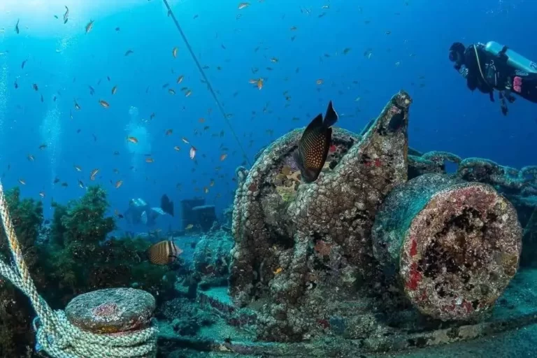 SS Thistlegorm