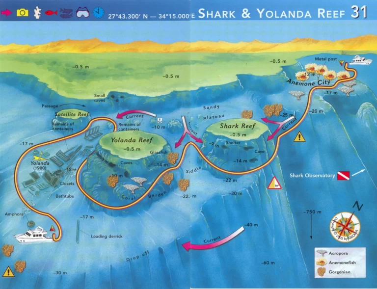 Shark & Yolanda - Ras Mohamed