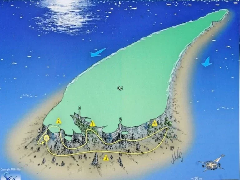 Paradise Reef is located in the St. John