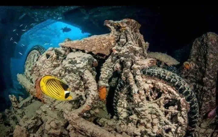 SS Thistlegorm