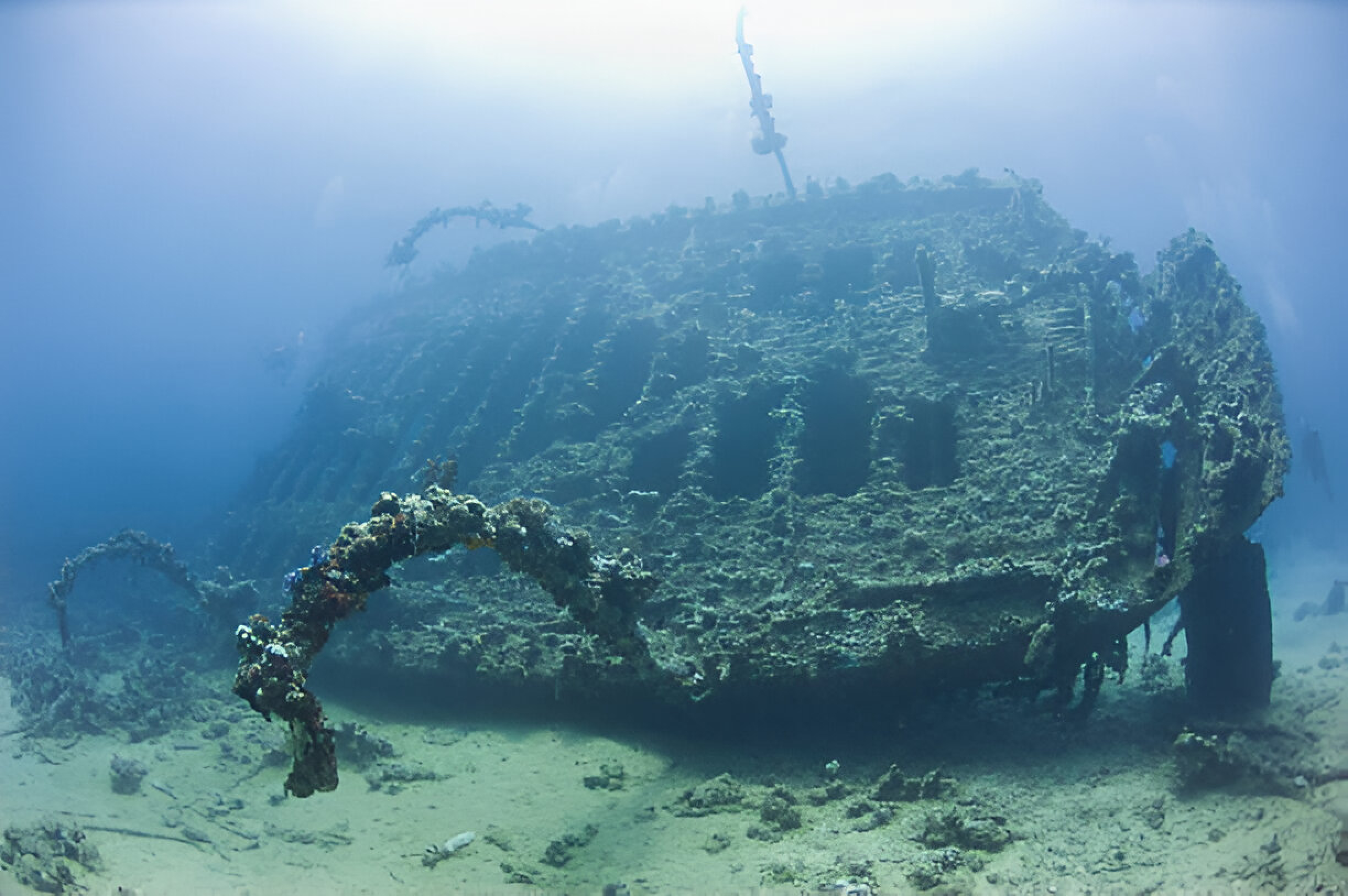 Carnatic Wreck - Photo 1