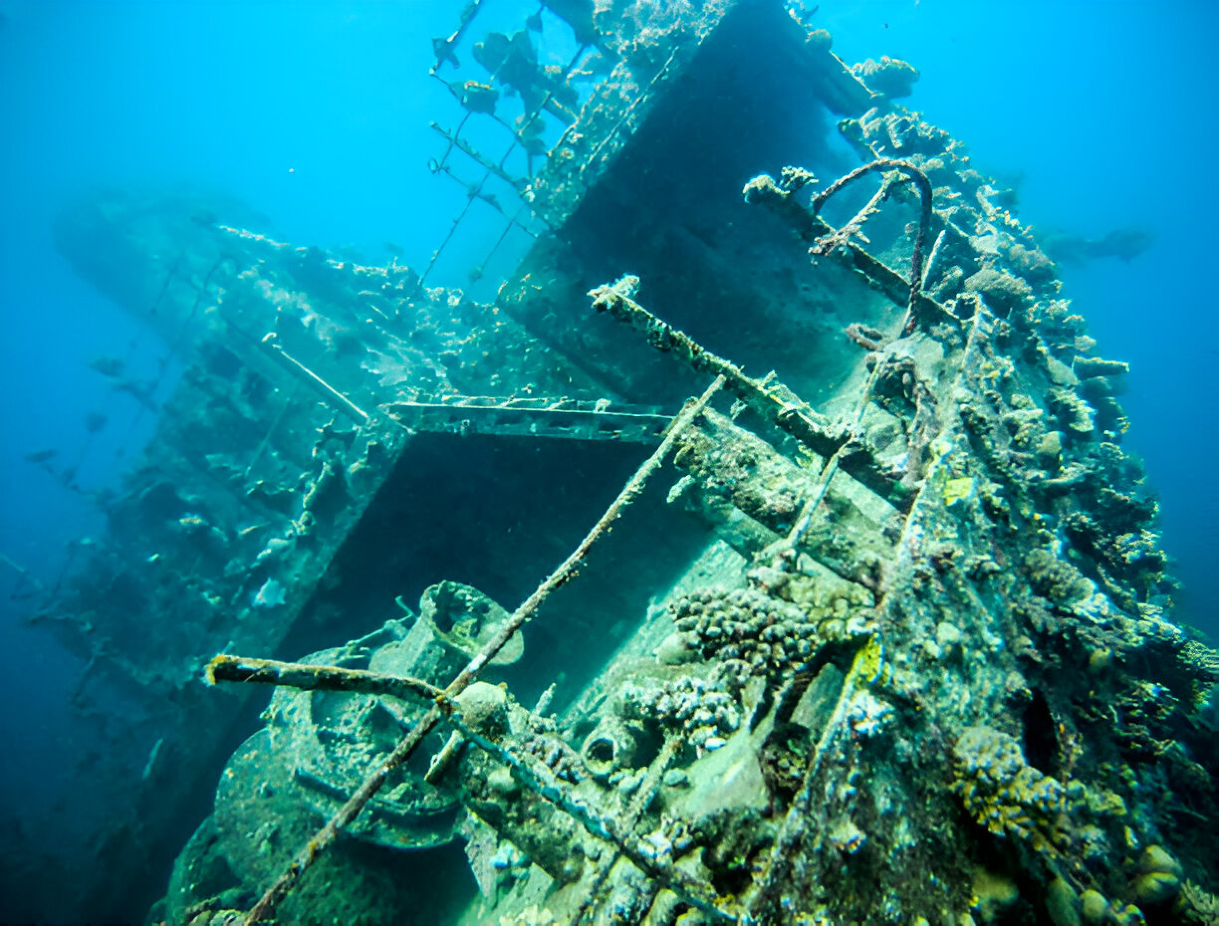 Giannis D Shipwreck Red Sea Egypt - Photo 1