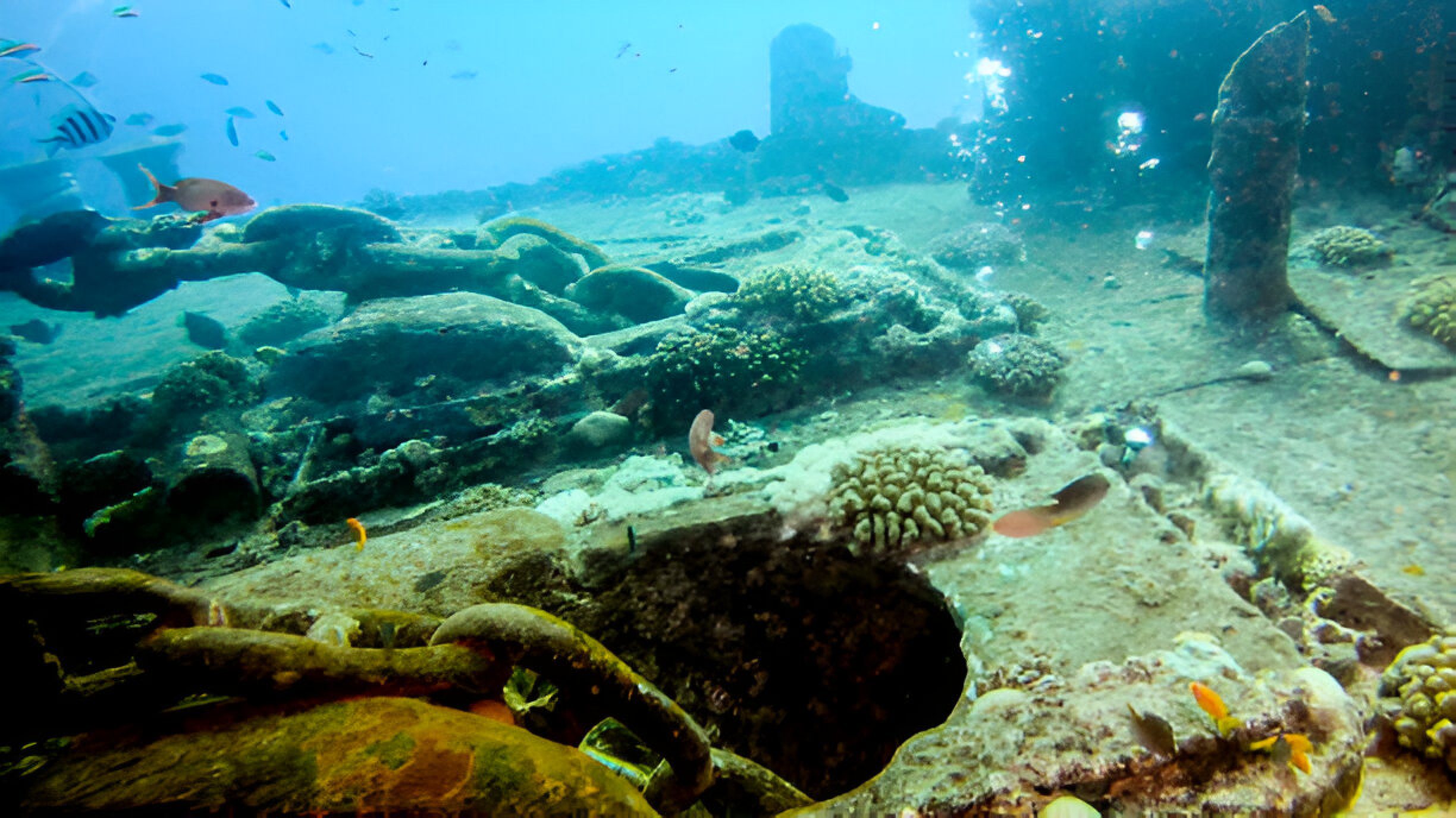 Giannis D Shipwreck Red Sea Egypt - Photo 2