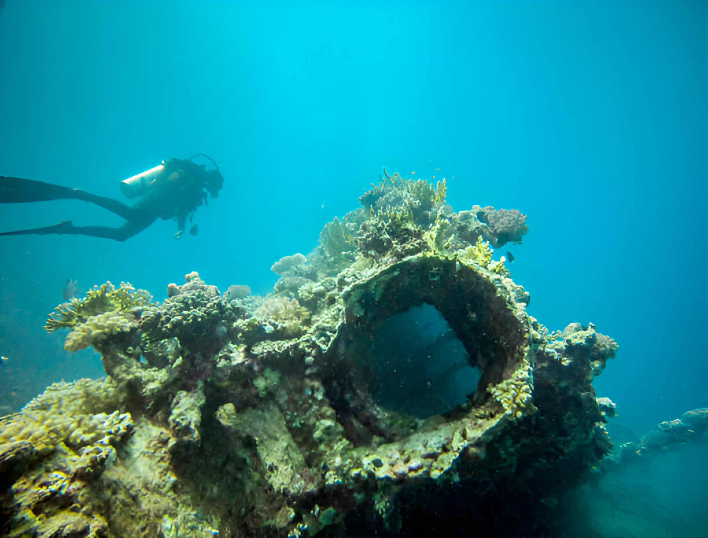 Giannis D Shipwreck Red Sea Egypt - Photo 3