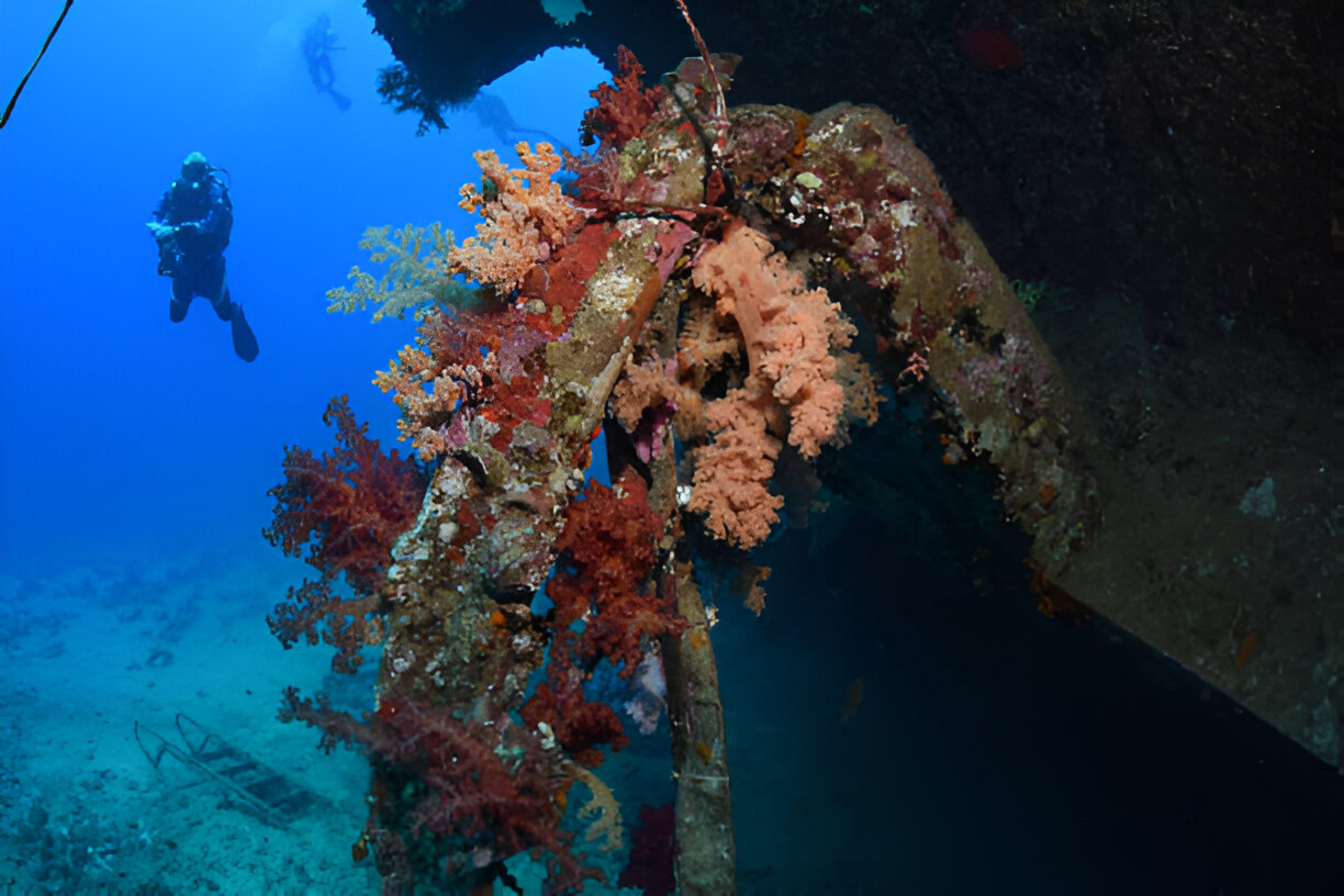 Giannis D Shipwreck Red Sea Egypt - Photo 4